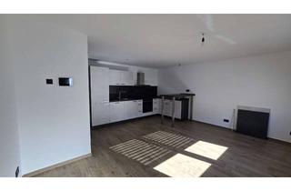 Wohnung mieten in 72631 Aichtal, Neubau 2-Zimmer-Souterrain-Wohnung mit geh. Innenausstattung