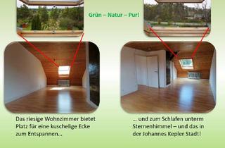 Wohnung mieten in 71263 Weil der Stadt, DG-Wohnung in Weil der Stadt