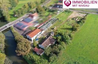 Haus kaufen in 89312 Günzburg, 1a Lage in Günzburg! Ehem. Gärtnerei, 2 Wohnhäuser mit 5500m2 Grund mit großem Potenzial!