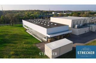 Gewerbeimmobilie mieten in 76275 Ettlingen, Vielseitig nutzbare Lagerhalle in bester Lage von Ettlingen – mit optionalen Flächen am Standort