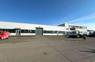 Büro zu mieten in Ludwigstraße, 89340 Leipheim, Halle mit Produktions-, Lagerflächen und Büros zentral mit Anbindung A8 /A7
