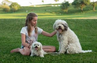 Grundstück zu kaufen in 58454 Witten, Ruhiges uneinsehbares Grundstück