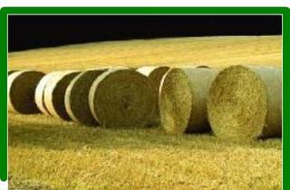 Grundstück zu kaufen in 15910 Bersteland, *** Grünland ***