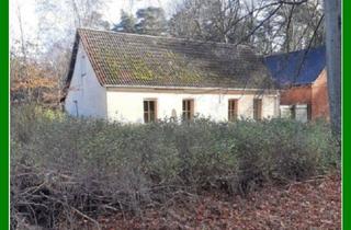 Haus kaufen in 14827 Wiesenburg, *** Haus am Wald - fast Alleinlage ***