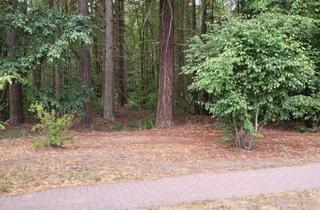 Wohnung kaufen in 15537 Grünheide, Vermietete 2 -Zi.-Wohnung in Seenähe in Grünheide mit Stellplatz