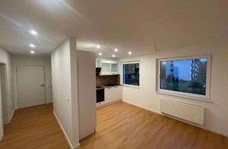 Wohnung mieten in Sulauer Straße, 31832 Springe, Erstbezug nach Sanierung: schöne 2-Zimmer-Wohnung mit EBK und Balkon in Springe