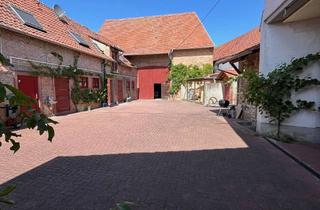 Wohnung mieten in 67269 Grünstadt, 2 Zimmer Wohnung in Grünstadt OT Asselheim