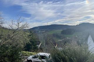 Wohnung mieten in 69483 Wald-Michelbach, Provisionsfrei! Schöne 2 ZKB Wohnung Wald-Michelbach mit fantastischer Aussicht.