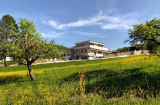 Penthouse mieten in Gruibinger Str. 45/1, 73087 Bad Boll, Traumhafte Penthouse Wohnung mit Weitsicht in Bad Boll