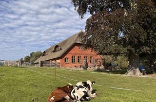 Haus kaufen in 23923 Menzendorf, Historischer Reetdachhof mit 10.000 m² Freiheit – ein Zuhause für Generationen