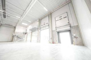 Gewerbeimmobilie mieten in 59457 Werl, Ab sofort: Lager- & Logistikfläche | direkt an der A44 | Rampentore | RUHR REAL