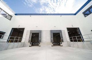 Gewerbeimmobilie mieten in 59494 Soest, Kurzfristig verfügbar: Lager- & Logistikfläche | direkt an der A44 | Rampentore | RUHR REAL