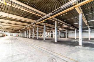 Gewerbeimmobilie mieten in 59457 Werl, Halle für Lager, Logistik und Produktion | 5.000 - 11.000 m ² | sofort verfügbar | gute Anbindung