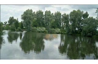 Grundstück zu kaufen in 14550 Groß Kreutz, Grünfläche, Mischwald DIREKT am See, 20 m von der Havel entfernt, in Groß Kreutz