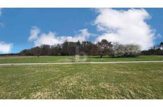 Grundstück zu kaufen in 76307 Karlsbad, IHR FAMILIENTRAUM IN NATUR UND VORORT