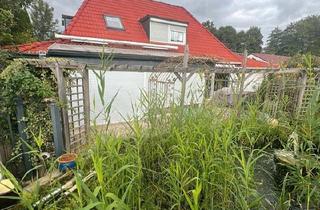 Einfamilienhaus kaufen in 31228 Peine, Peine - Peine-Röhrse, Einfamilienhaus mit grossen Grundstück