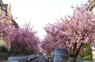 Wohnung kaufen in 40476 Düsseldorf, Düsseldorf - Außergewöhnliche Wohnung in bester grüner 1-A-Lage Düsseldorfs