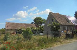 Haus kaufen in 06429 Nienburg, Nienburg (Saale) - HAUS zu verkaufen oder MIETKAUF, mit Scheune, MIETKAUF möglich