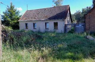 Haus kaufen in 14827 Wiesenburg, Wiesenburg/Mark - Forsthaus, fast Alleinlage, Tier- Pferdehaltung,Selbstversorgung
