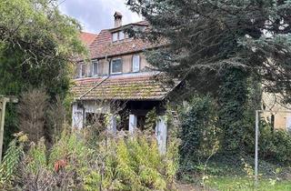 Haus kaufen in 72131 Ofterdingen, Ofterdingen - Nix für Stümper & Murkser: Sanierungsbedürftiges Haus sucht Bauprofi... aber das Grundstück ist ein kleines Paradies