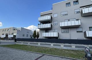 Penthouse kaufen in 63322 Rödermark, Hochwertige 4-Zimmer Wohnung mit Balkon und 2 Tiefgaragenstellplätzen in Rödermark/ Ober-Roden