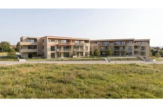 Penthouse kaufen in 89129 Langenau, KFW40-QNG 4 Zimmer Penthouse Wohnung mit großer Dachterrasse