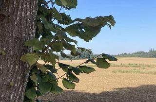 Wohnung kaufen in 85238 Petershausen, Naturnahe 4-Zimmer-Maisonette-Wohnung mit Balkon. EBK und TG-Stellplatz