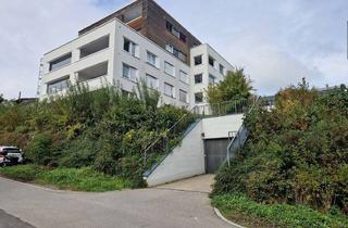 Wohnung kaufen in 88161 Lindenberg, KapitalanlageSehr gepflegte 3 Zimmer-ETW am Dürrenbühl