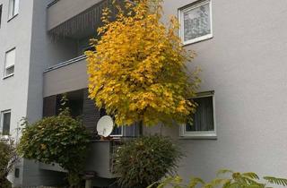 Wohnung kaufen in 93426 Roding, 4-Zimmer Erdgeschosswohnung mit Balkon & Garage in Roding