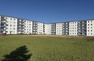 Wohnung mieten in Wittowerstrasse 12, 18556 Dranske, NEU moderne 1-Raum Wohnung 4OG. in Dranske Wittowerstraße 12 zu vermieten NEU