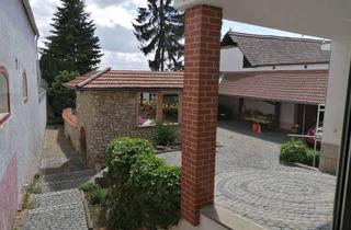 Wohnung mieten in Obergasse, 55270 Ober-Olm, Gepflegte 2-Zimmer Wohnung im EG in Ober-Olm