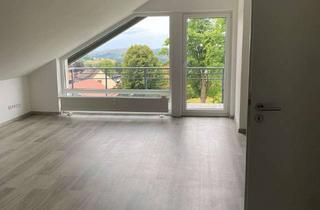 Wohnung mieten in Röhrholz, 37444 St. Andreasberg, Helle und gemütliche renovierte 2-Zimmer-Wohnung in St. Andreasberg mit traumhaftem Blick und Balkon