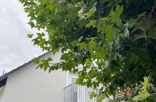 Wohnung mieten in Wilhelm-Leuschner-Straße, 64560 Riedstadt, Moderne 2-Zimmer Wohnung in Riedstadt-Erfelden mit 2 Stellplätzen