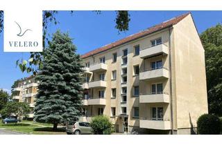 Wohnung mieten in Geschwister-Scholl-Straße 36, 01917 Kamenz, Dein neu renoviertes zu Hause- 2 Zimmerwohnung im Erdgeschoss