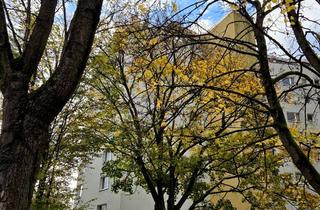 Wohnung mieten in Frankenstrasse 25, 65824 Schwalbach, Ein 20qm Zimmer mit SEPARATEM Eingang & SEPARATEM Duschbad-WC v. Privat in Schwalbach am Taunus