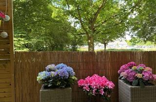 Wohnung mieten in 35398 Gießen, 1-Zimmer Wohnung mit Balkon in Gießen (Zwischenmiete von 01.11.25 - 28.02.2026- )