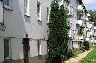 Wohnung mieten in Stader Straße 99, 28205 Hulsberg, Schicke 2,5-Zimmer-Wohnung mit neuem Duschbad