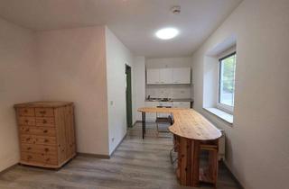 Wohnung mieten in Tannenhöhe 16, 38678 Clausthal-Zellerfeld, Helle 1 Zimmer Wohnung mit Tageslichtbad
