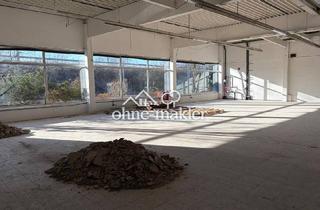 Büro zu mieten in 32423 Minden, Lager-/Produktionshalle mit optimaler Erreichbarkeit (Kreuz B428/B65)