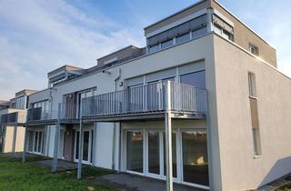 Wohnung mieten in 72488 Sigmaringen, Helle 2 Zimmer Wohnung mit Balkon