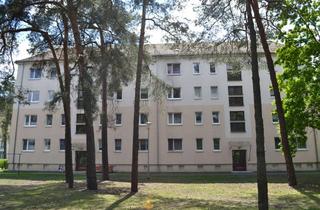 Wohnung mieten in Artur-Becker-Ring 31, 03130 Spremberg, Große, helle 2-Raum-Wohnung mit Balkon in Spremberg zu vermieten!