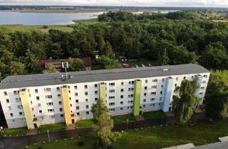 Wohnung mieten in Ringstraße, 17493 Riems / Insel Koos, Ankommen & Wohlfühlen - Geräumige 4-Zimmer-Wohnung mit Südbalkon – bezugsfrei ab 01.01.2026