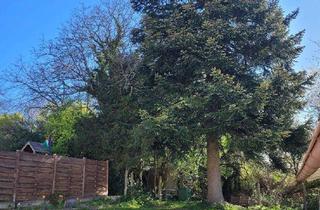 Haus kaufen in 66989 Höheinöd, Viel Platz für Ihre Familie