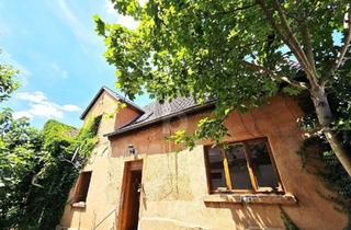 Haus kaufen in 55296 Lörzweiler, HISTORISCHES HOFENSEMBLE MIT HALLE & WERKSTATT !