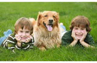 Haus kaufen in 45529 Hattingen, Exklusiv für Sie – Verwirklichen Sie Ihren Traum vom Eigenheim mit Schwabenhaus