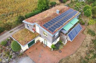 Haus kaufen in 34466 Wolfhagen, Moderner Natur-Bungalow & landwirtschaftliche Betriebsstätte auf 8.793 m² – zukunftsfähig und einzig