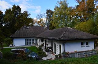 Villa kaufen in 36304 Alsfeld, 2-Familienhaus Villa mit schönen Waldgrundstück! 6500m² auch Teilbar! nähe Alsfeld! ruhige Alleinlag