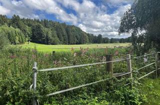 Haus kaufen in 94532 Außernzell, Ruhiges Refugium mit Garten