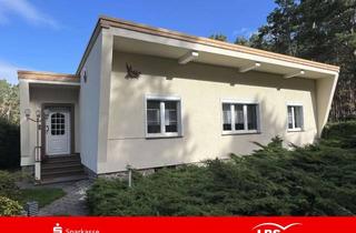 Haus kaufen in 03253 Schilda, ebenerdiges Wohnen inmitten der Natur
