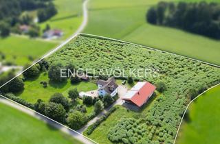 Haus kaufen in 94344 Wiesenfelden, Dreifamilienhaus auf großem Grundstück mit landwirtschaftlicher Nutzfläche